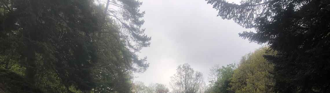 Col Haut de Ribeauvillé