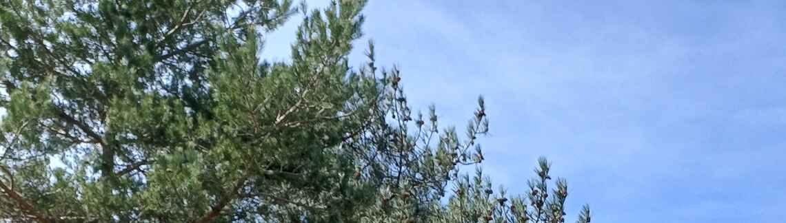Col du Mas de l'Ayre