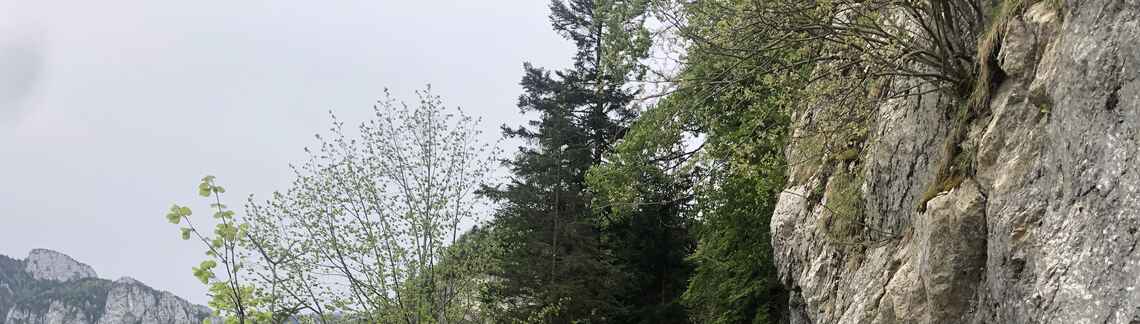 Col de la Charmette
