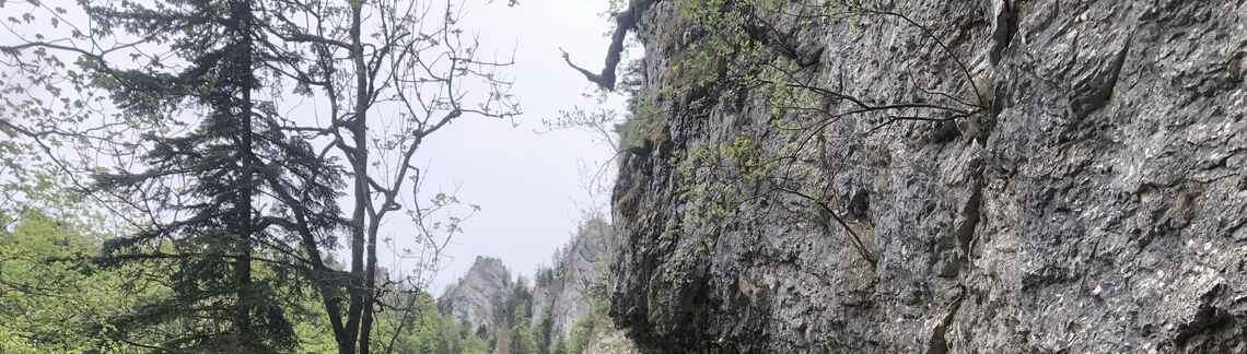 Col de la Charmette