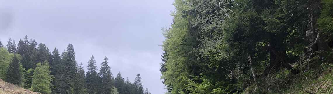 Col de la Charmette