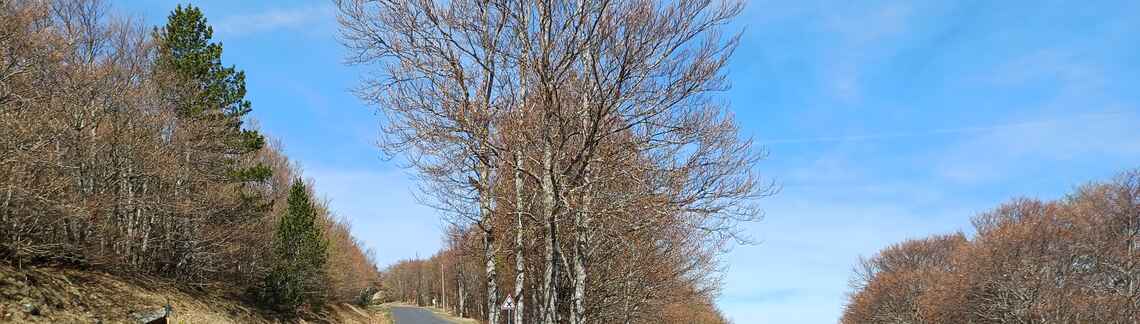 Col du Pré de la Dame