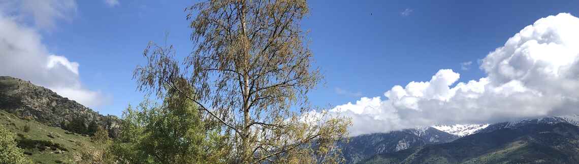 Col de Mantet
