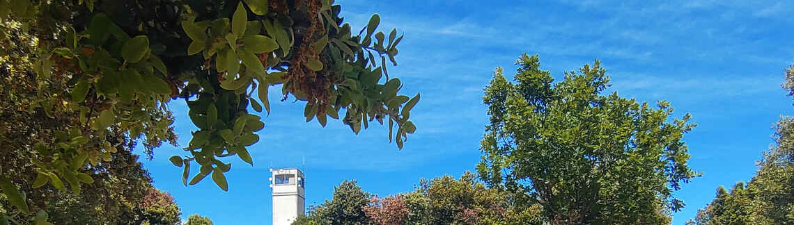 Le Malmont
