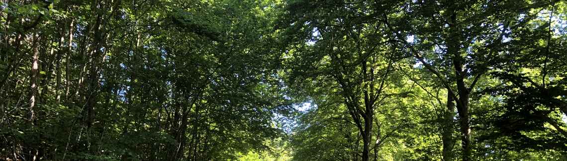 Col de Combe Blanche