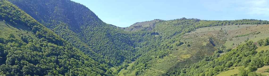 Col d'Aspin