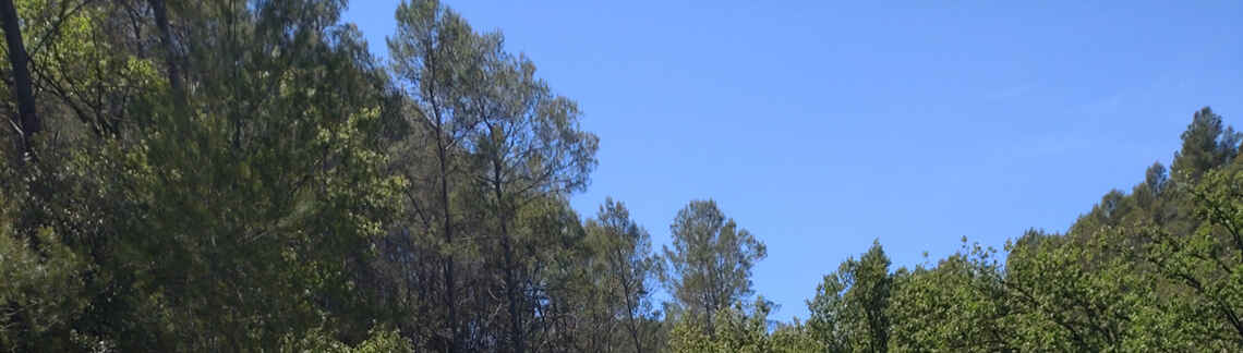 Col de la Grange