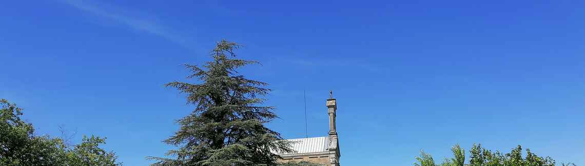 Mont Brouilly