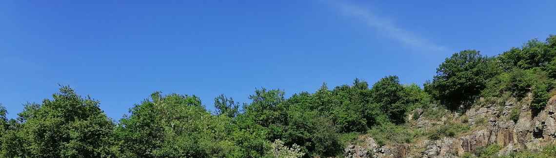 Mont Brouilly