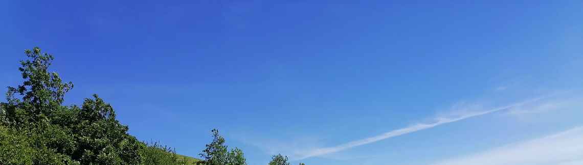 Mont Brouilly