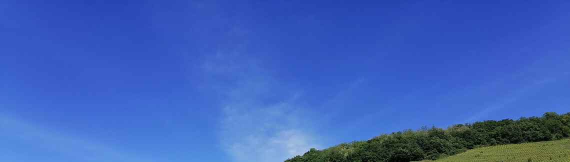 Mont Brouilly