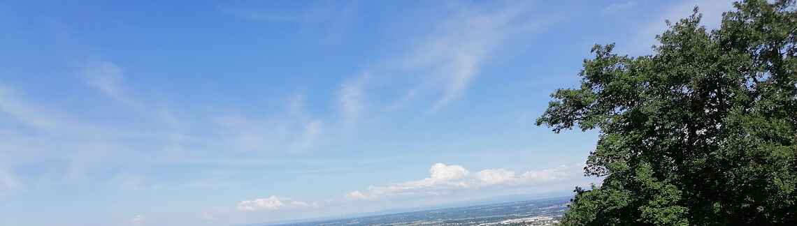 Mont Brouilly