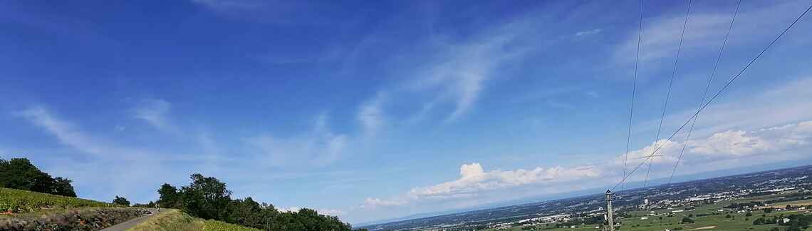 Mont Brouilly