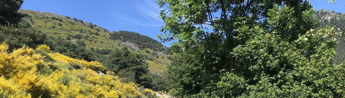 Col de Pontis