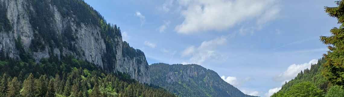 Chalets de Bise