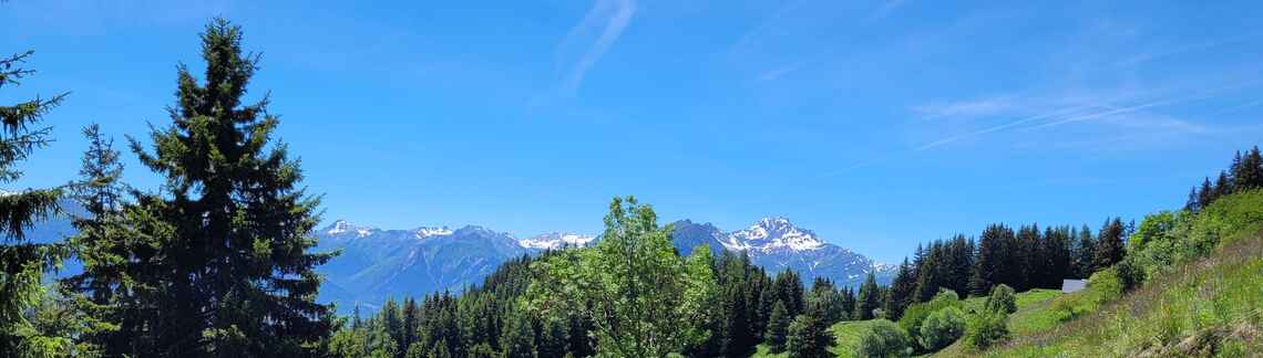 Chalets de la Faverge