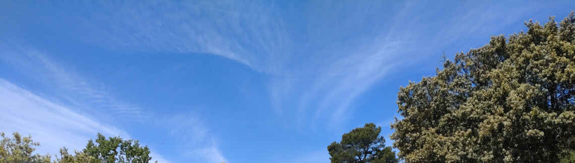 Petit Saint Martin