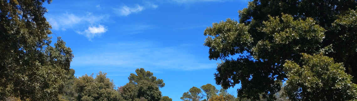 Petit Saint Martin