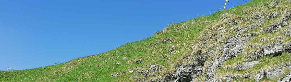 Monte Grappa
