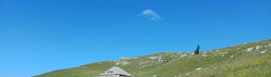 Chalet du Suchet