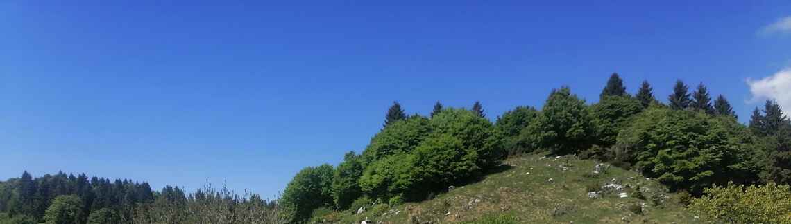 Monte Grappa