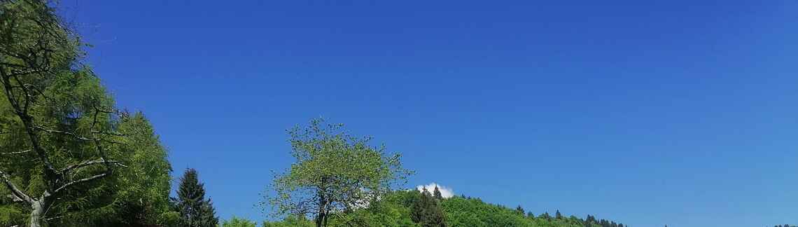 Monte Grappa