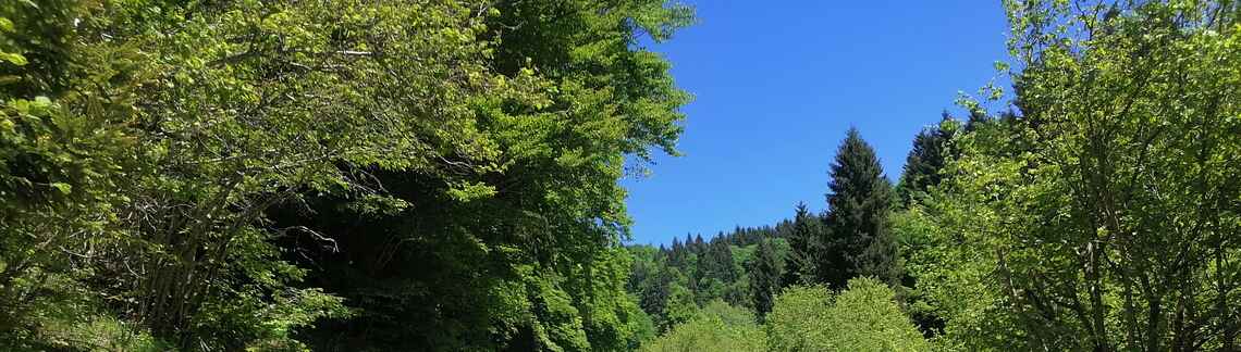 Monte Grappa