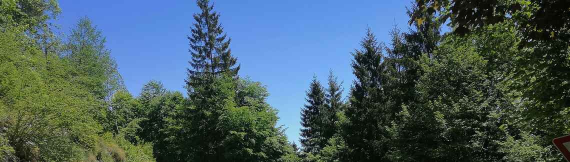 Monte Grappa
