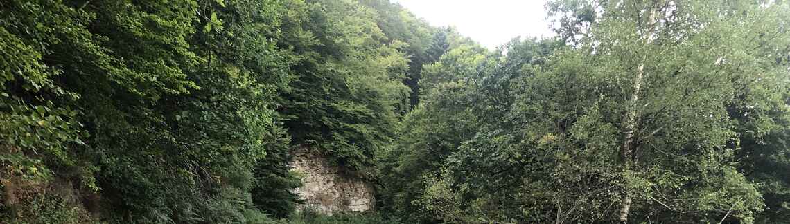 Herran