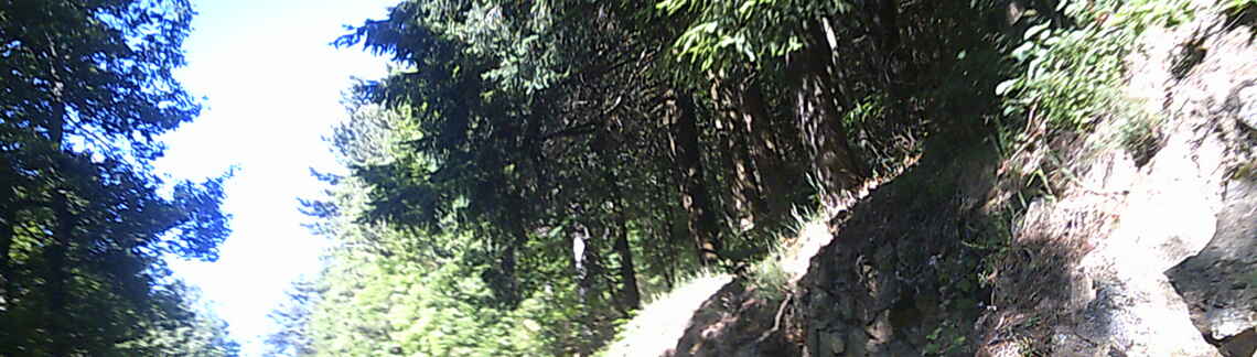 Col du Buisson