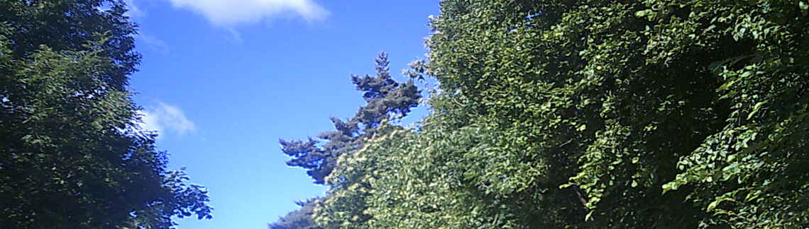 Col du Buisson