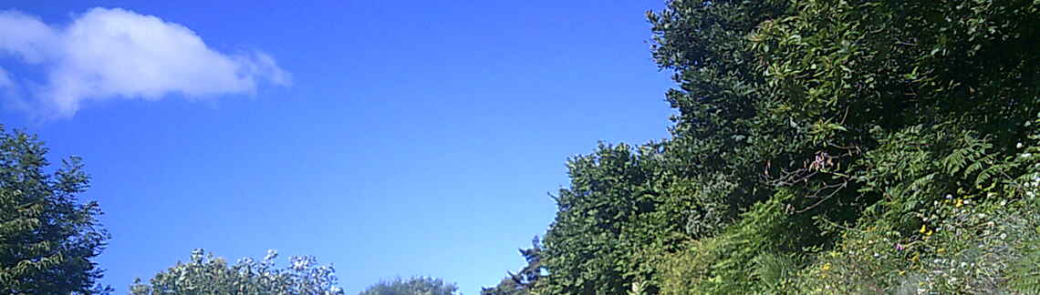 Col du Buisson
