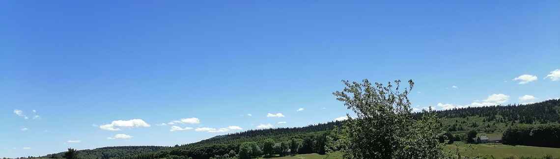La Baricaude