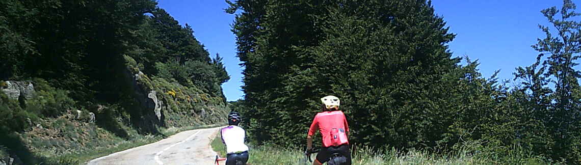 La Baricaude