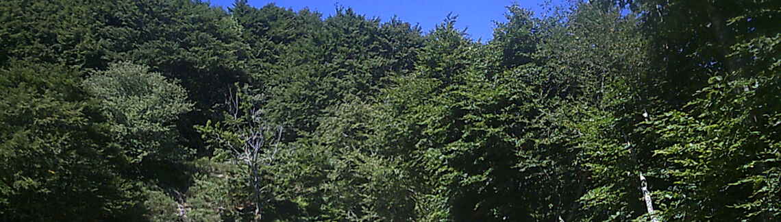 La Baricaude