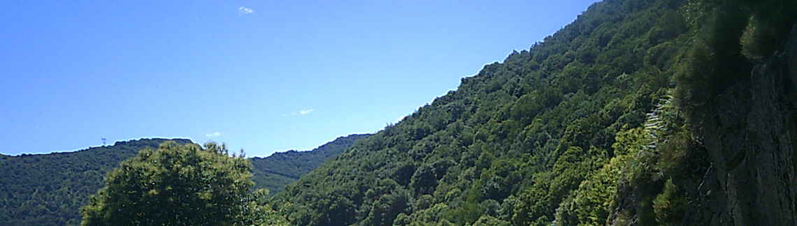 La Baricaude