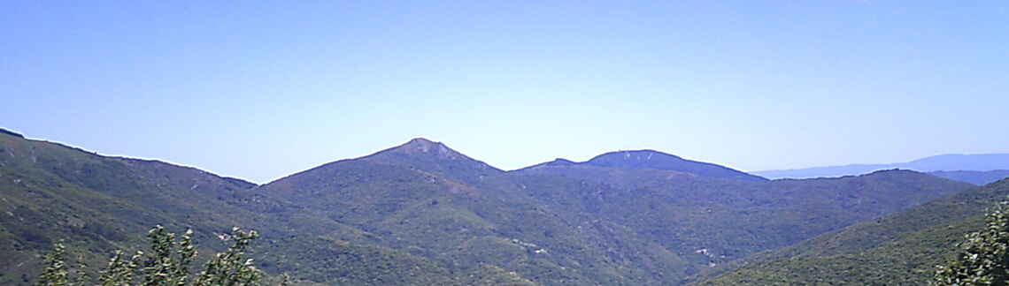 La Baricaude