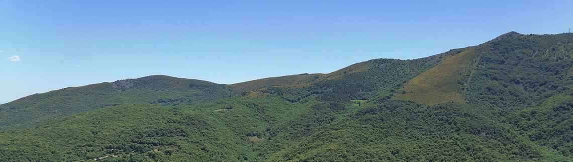 La Baricaude