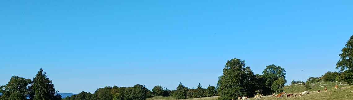 Le Grand Taureau