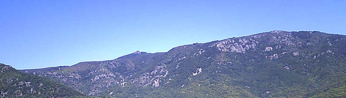 La Baricaude