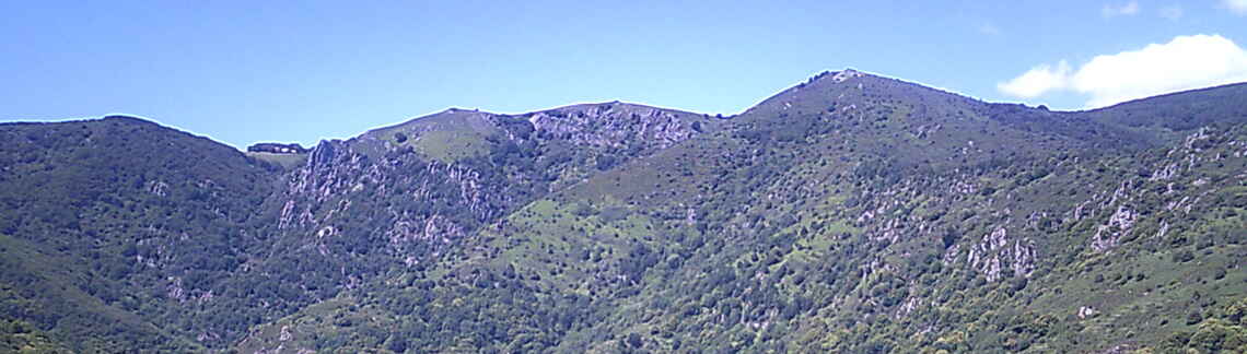La Baricaude