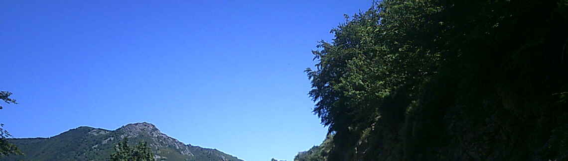 La Baricaude