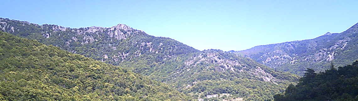 La Baricaude