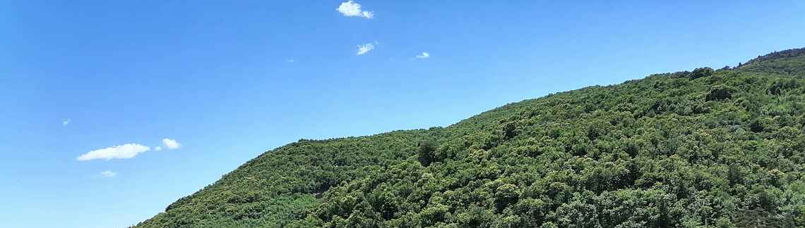 La Baricaude