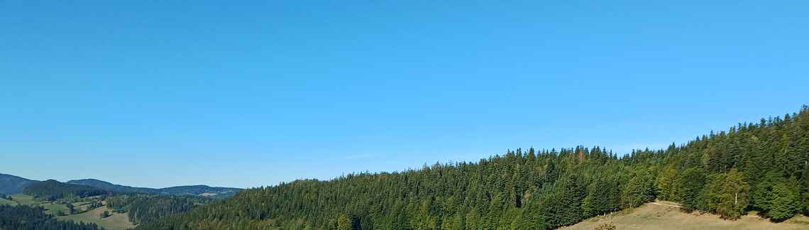 Meix Musy