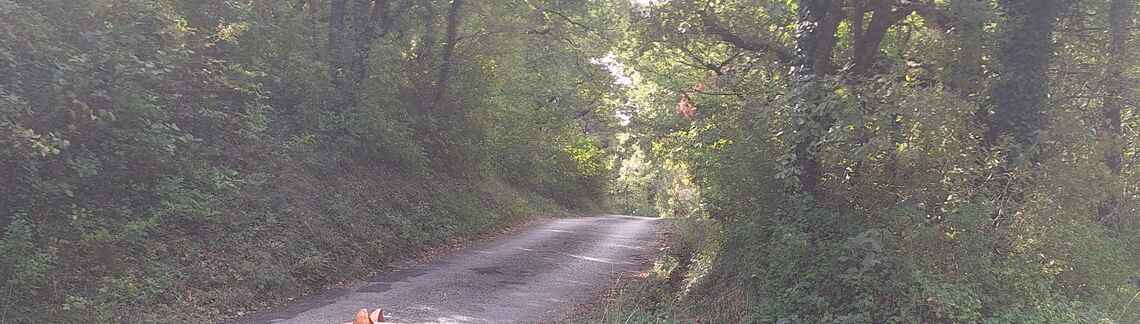 Col de la Chaudière