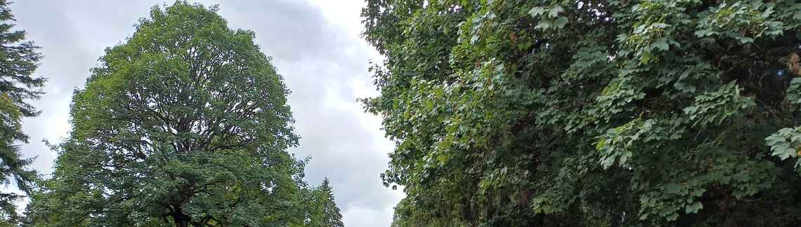 Col de Chuffort