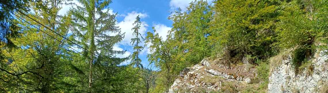 La Chaux de Fonds