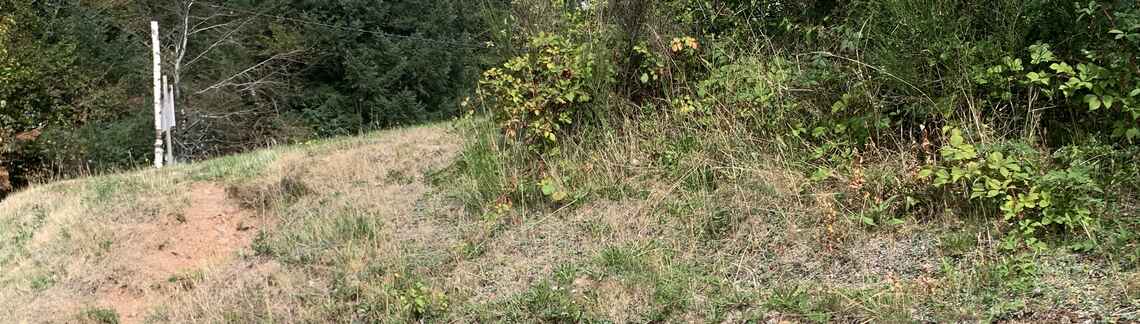 Col du Donon