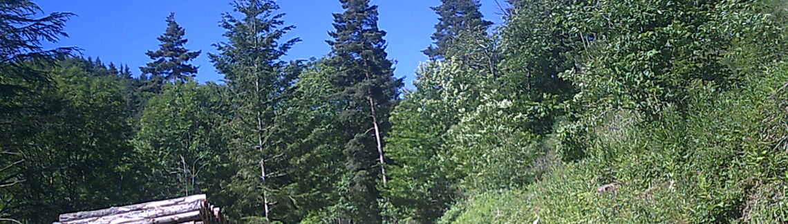 Col de l'Ardéchoise